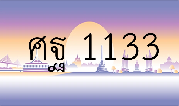 ศฐ 1133